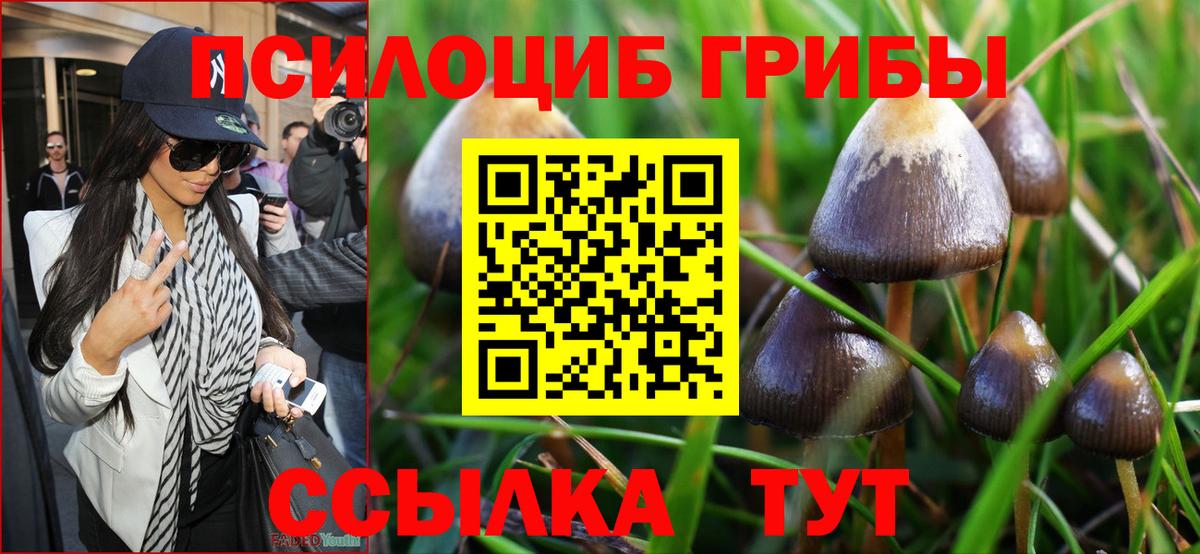 Галлюциногенные грибы Magic Shrooms Боровичи