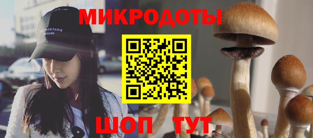 Псилоцибиновые грибы Psilocybe  где найти наркотики  Вход с VPN  Боровичи  Галлюциногенные грибы прущие грибы 