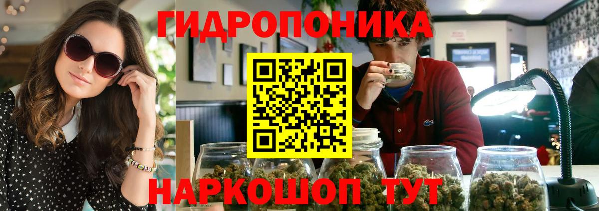 Конопля индика Боровичи